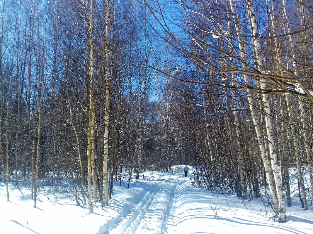 прогулка на лыжах - Владимир 