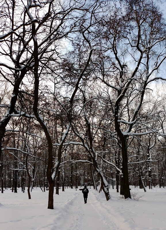 *** - Валентина Береснева