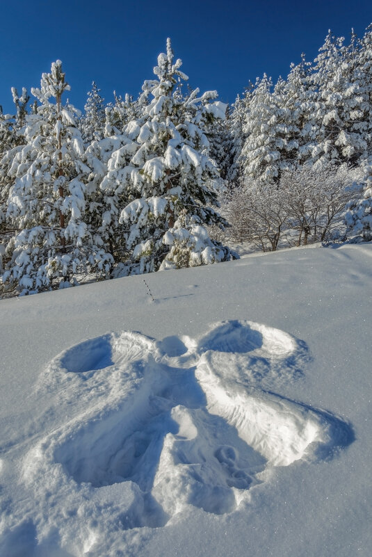 Ангел прилетал - Наталья Димова