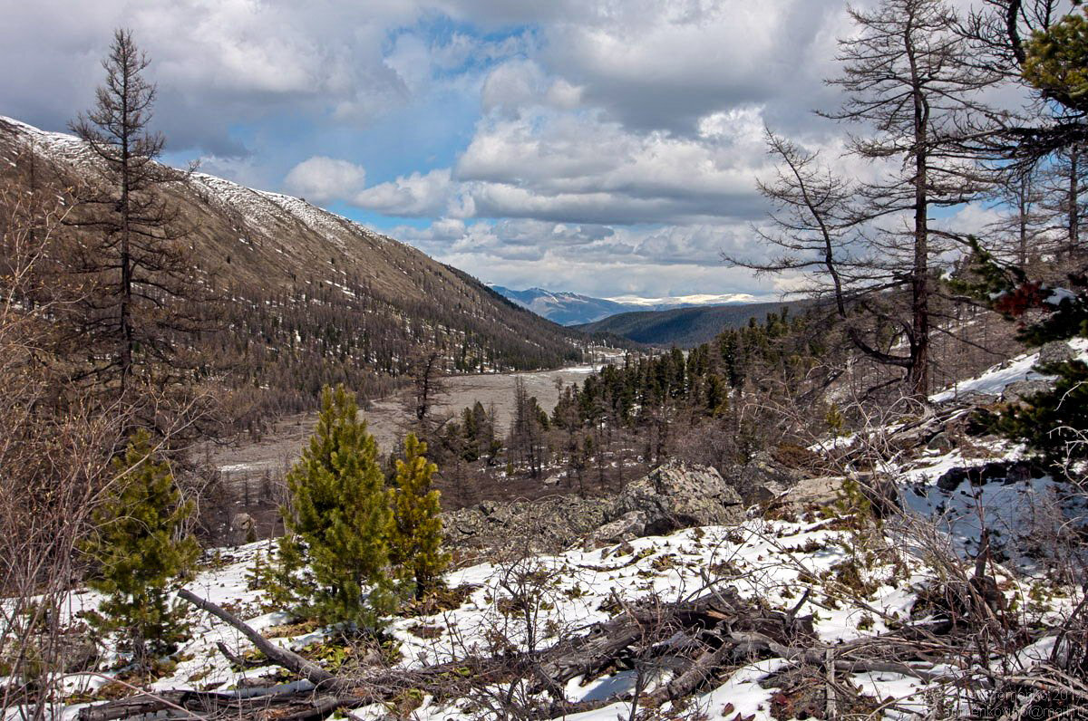 Долина - Виктор Фоменко