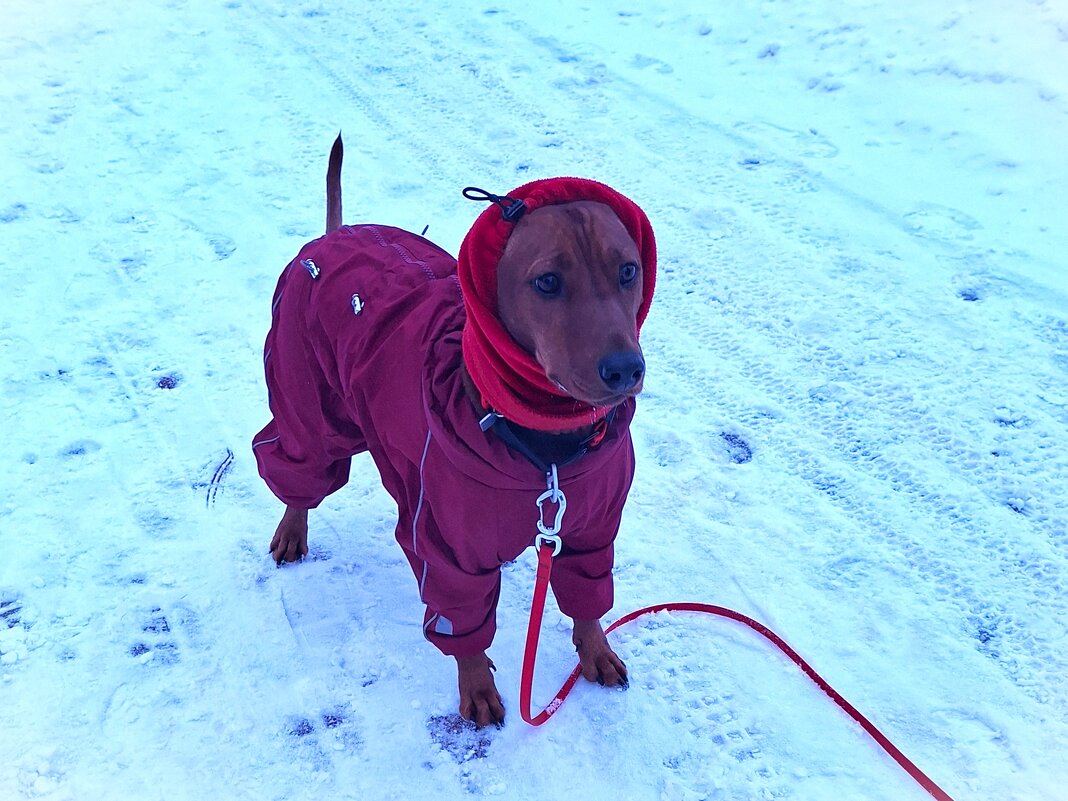 Зима - Наталья 