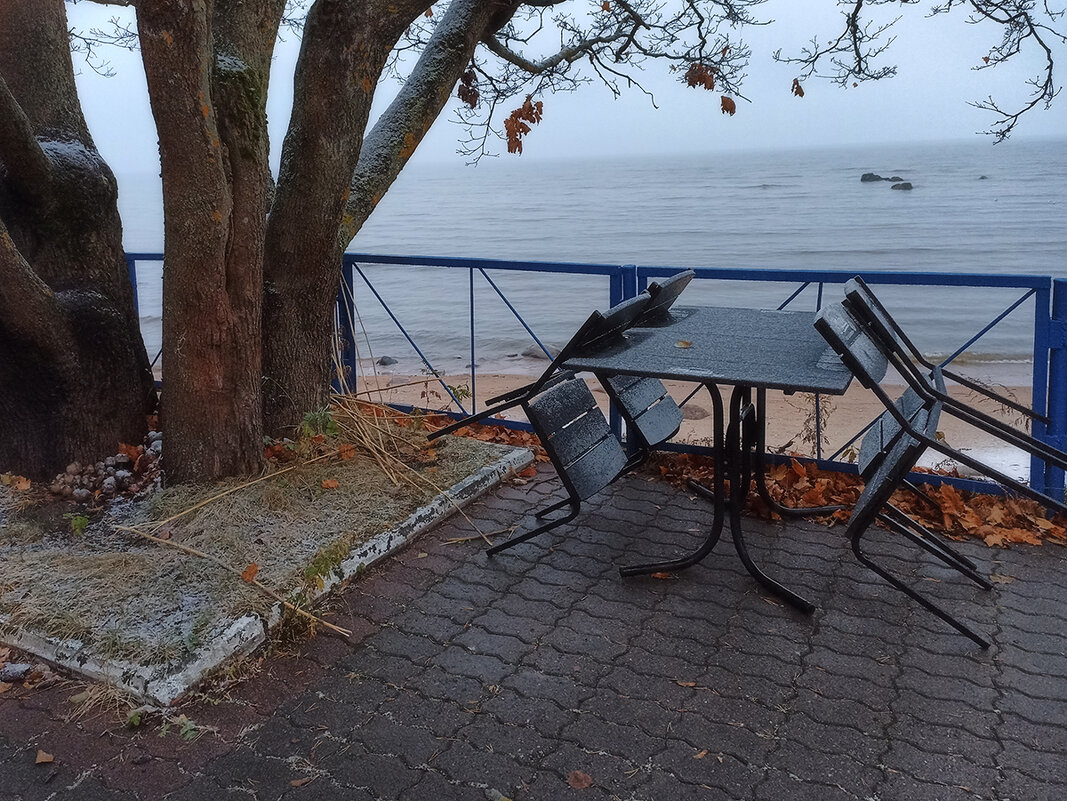 Всё замерло в долгом ожидании посетителей... - Лилия *