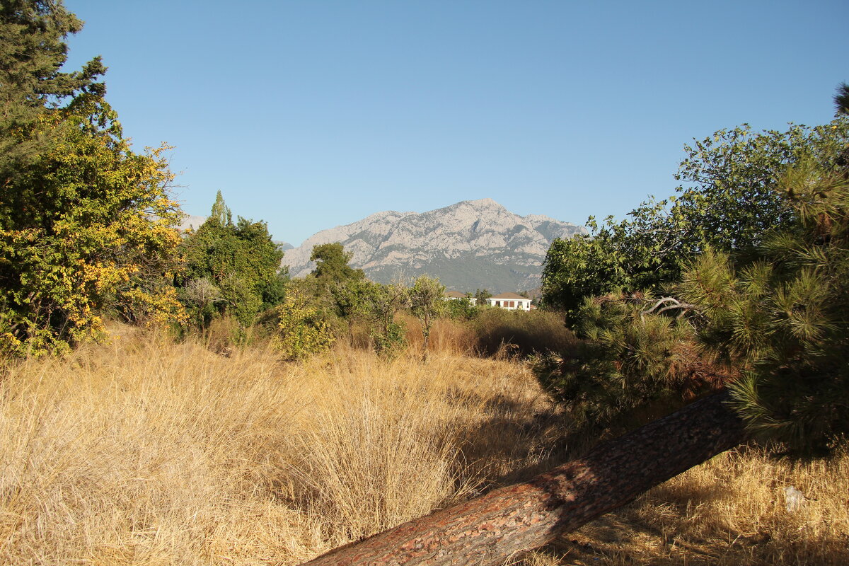 Турецкий пейзаж - Gen Vel