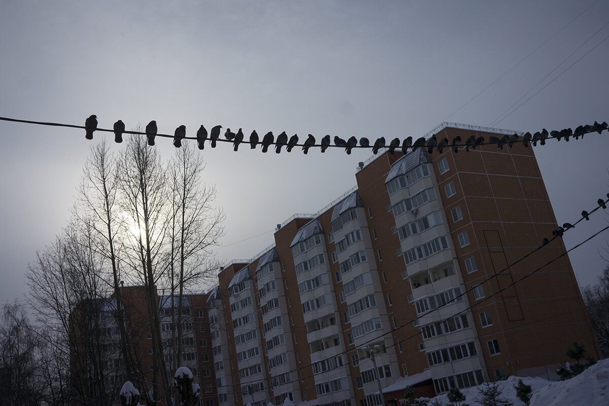 Без названия - Владимир Носов