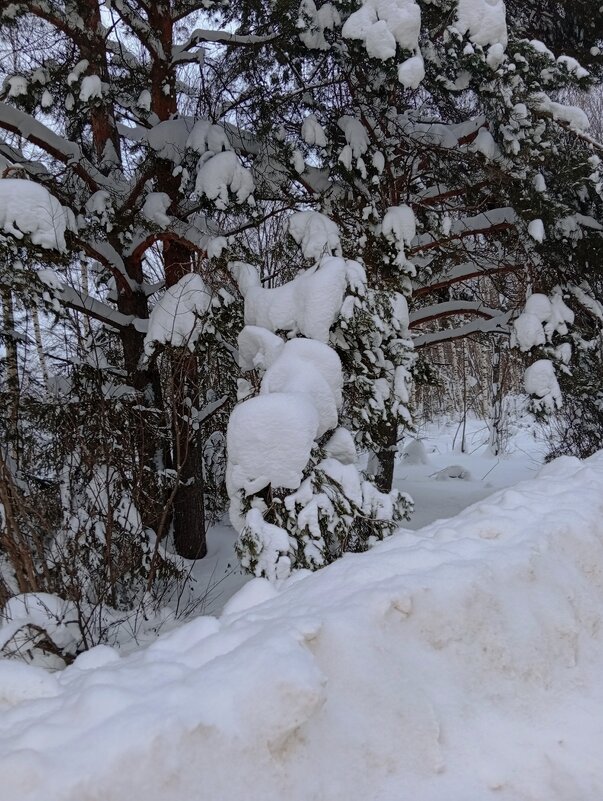 Природа - Светлана Мишенёва