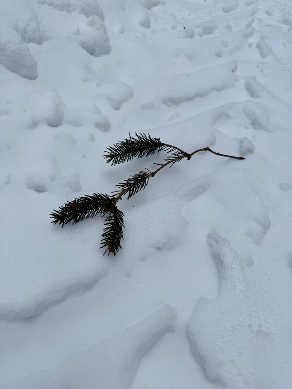След елочкой) - Любовь 