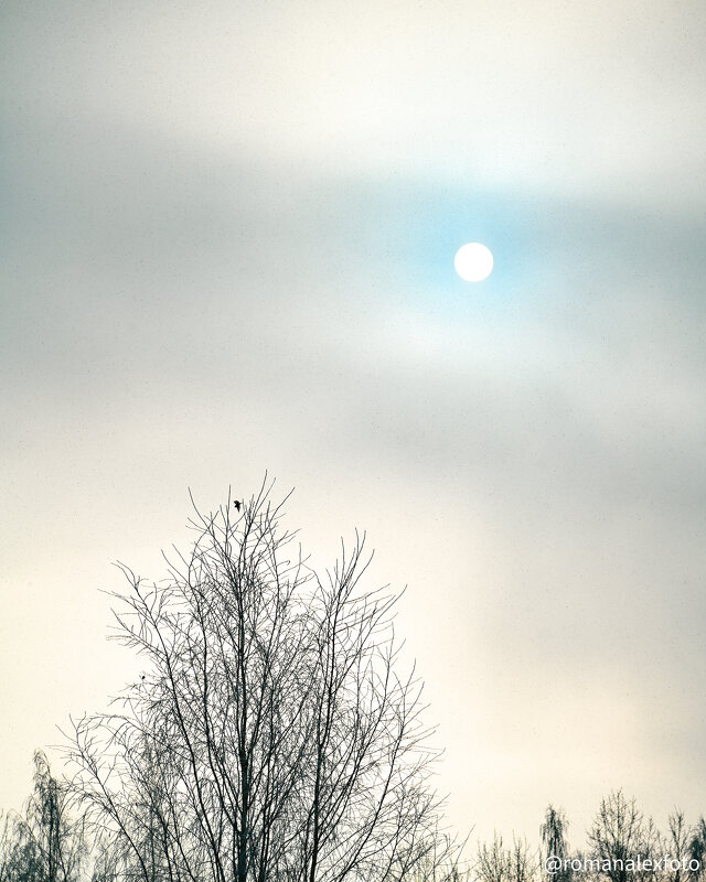 Свет сквозь тучи - Роман Алексеев