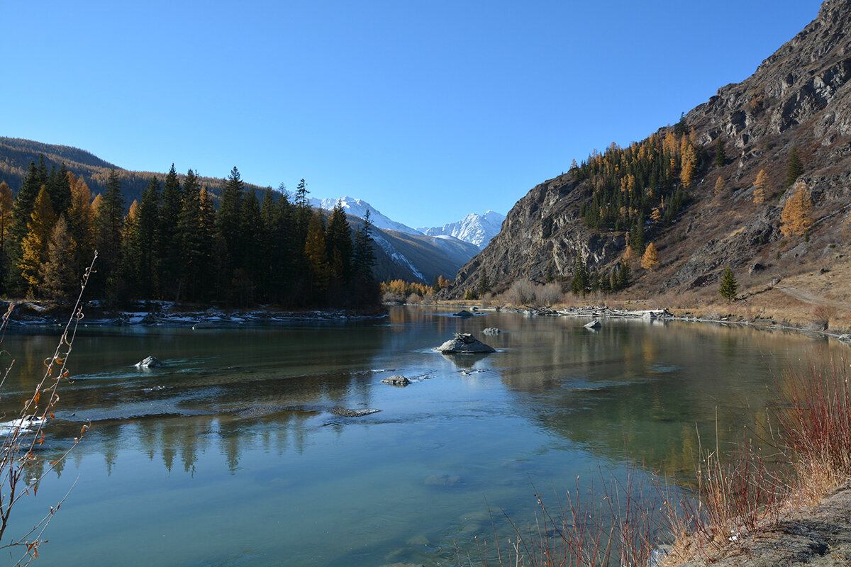 Чуя - Валерий Медведев
