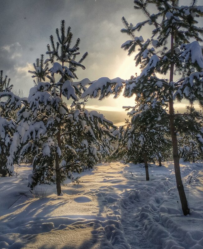 зимним днем ... - Валентина. .