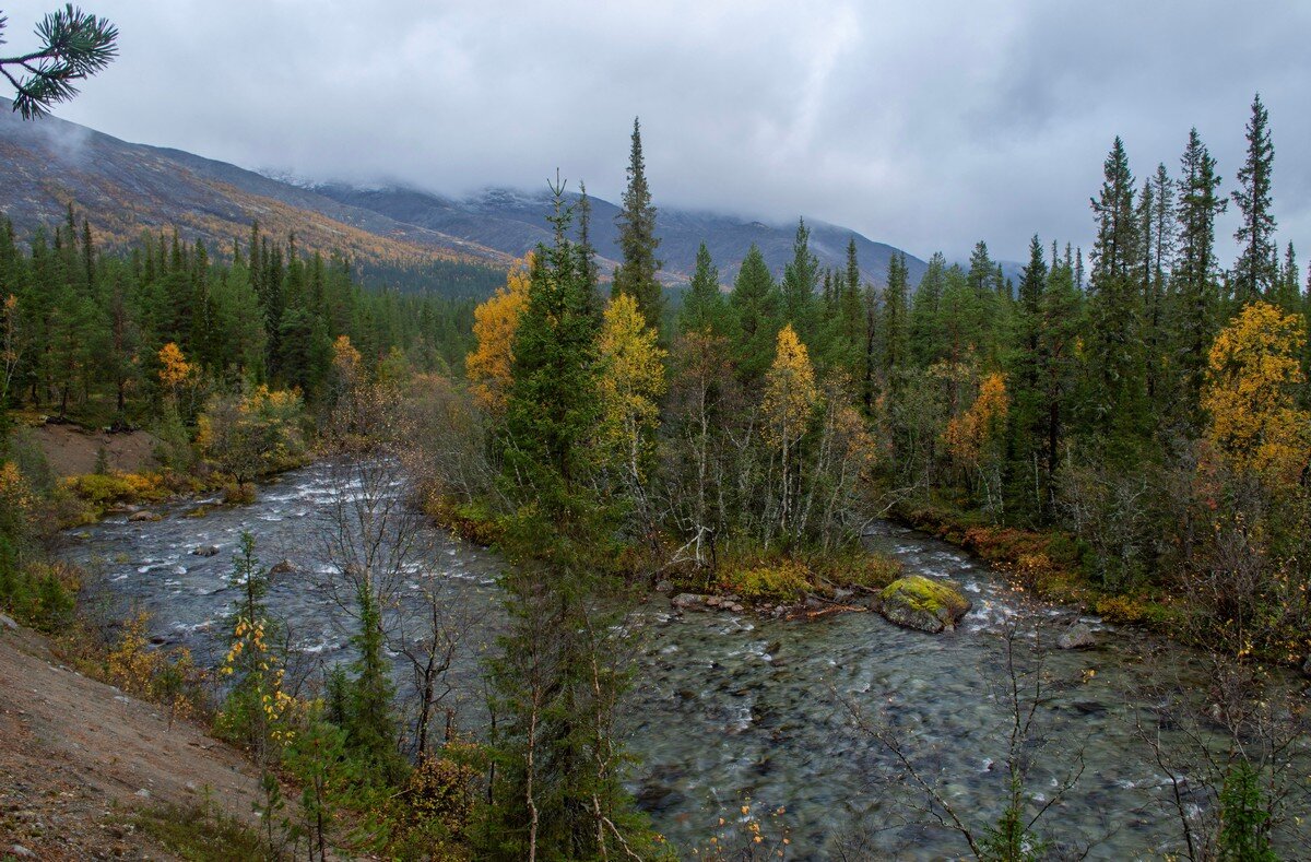 Осенний остров............ - Юрий Цыплятников