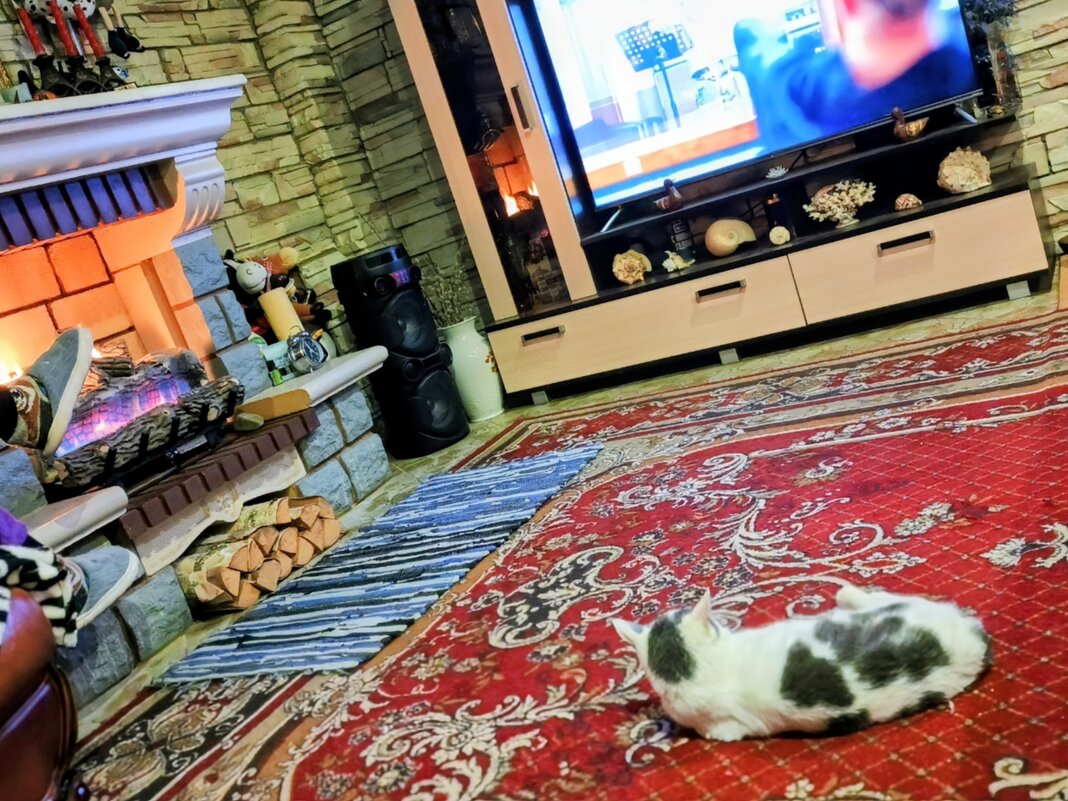 Субботний вечер у камина. - Михаил Столяров