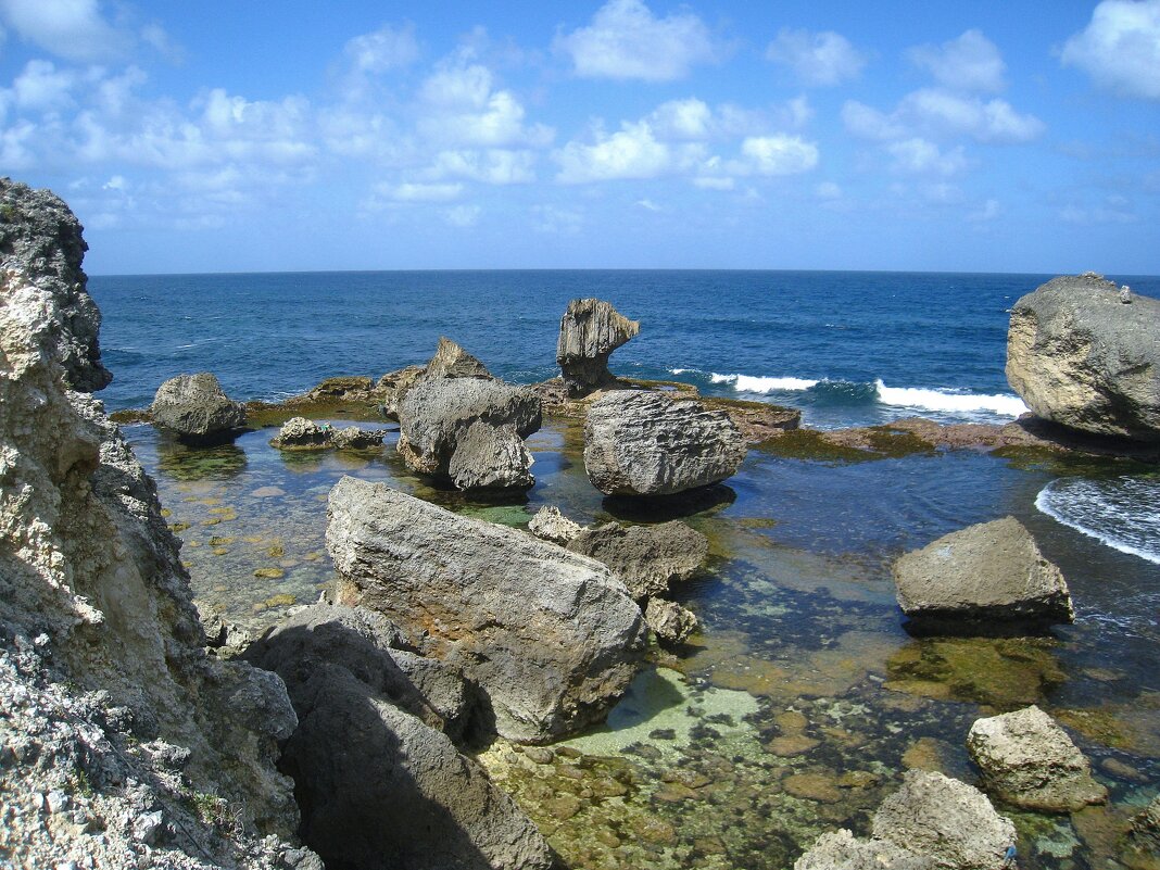 Носатый камушек. - unix (Илья Утропов)