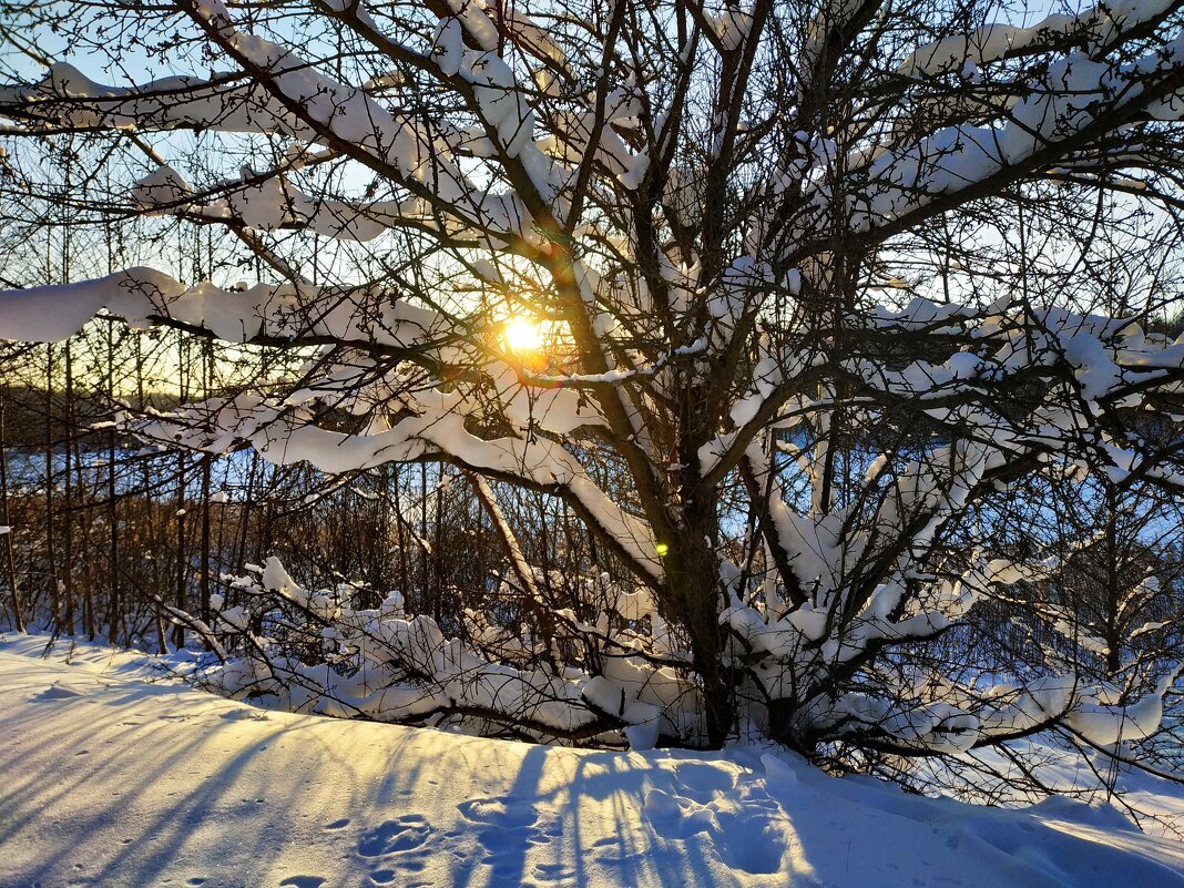 Из недопоказанного в январе - Андрей Лукьянов