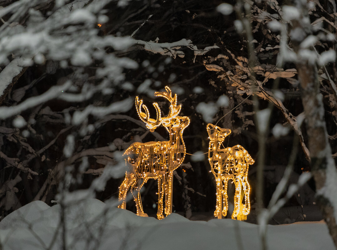 Зимние фигуры - Андрей C