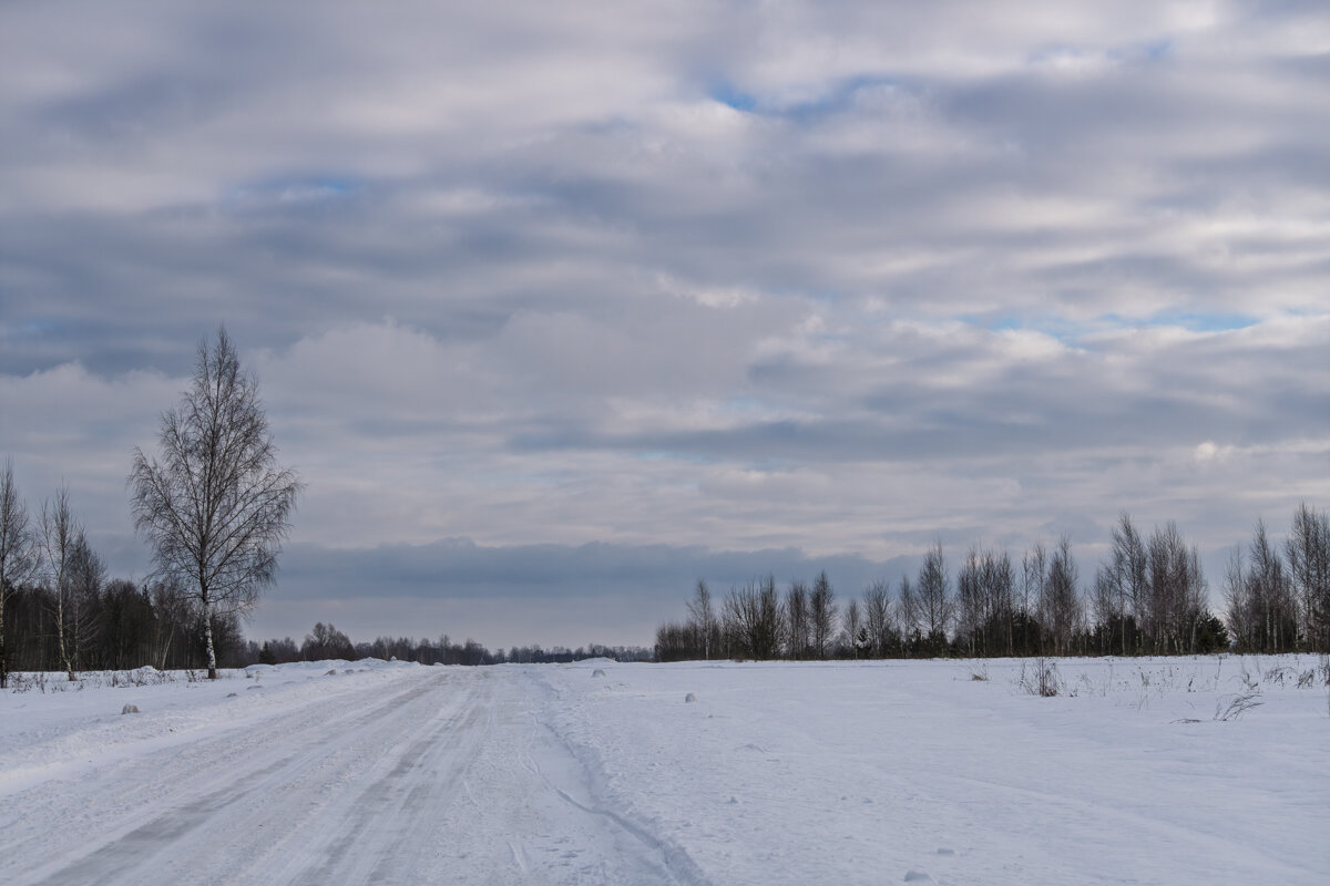 Можно и прогуляться, когда нет ветра и слабый мороз - Игорь Сикорский