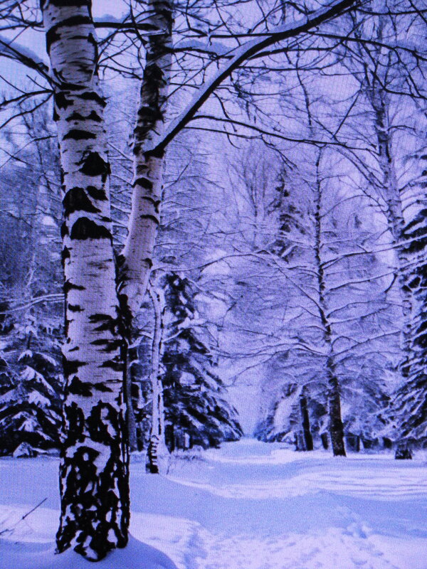 Красота зимы - Людмила Смородинская