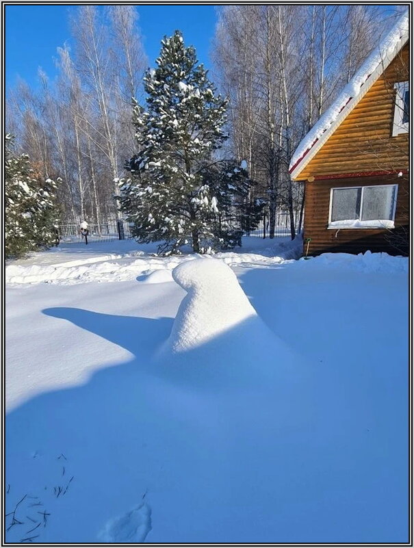 Зима на даче - Ольга Довженко