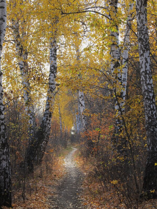 октябрь - Елена Шаламова