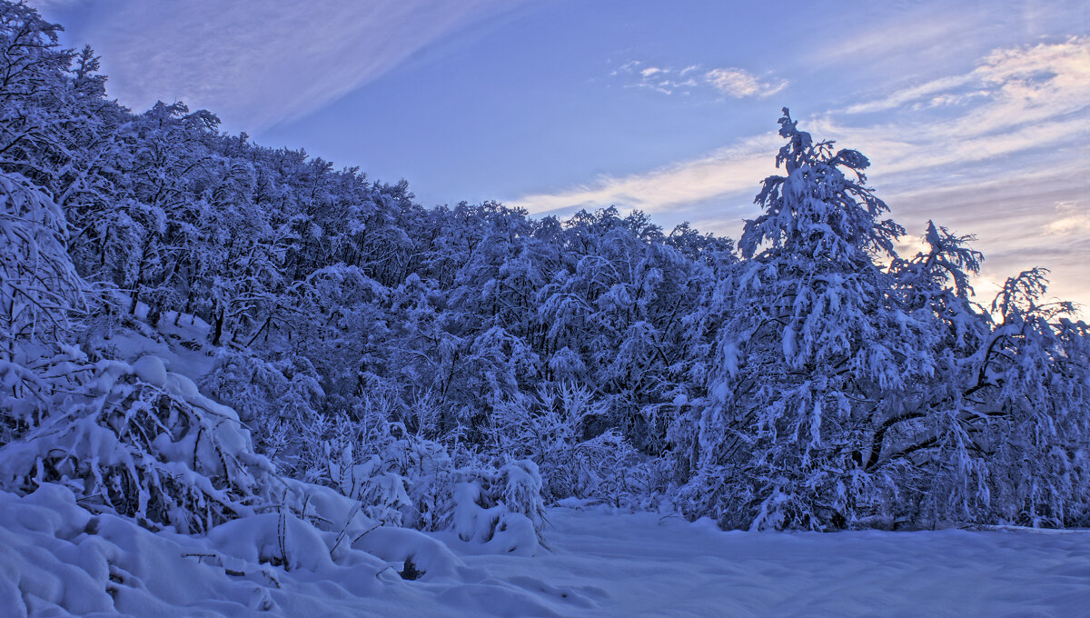 Новогоднее утро---01 - Владимир Холодный