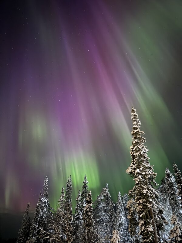 20 января. Вспышка. - tatiana 