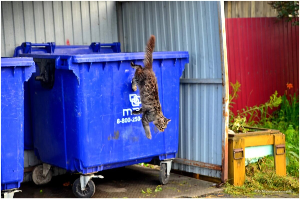 Прыжки с высоты.. - Михаил. 