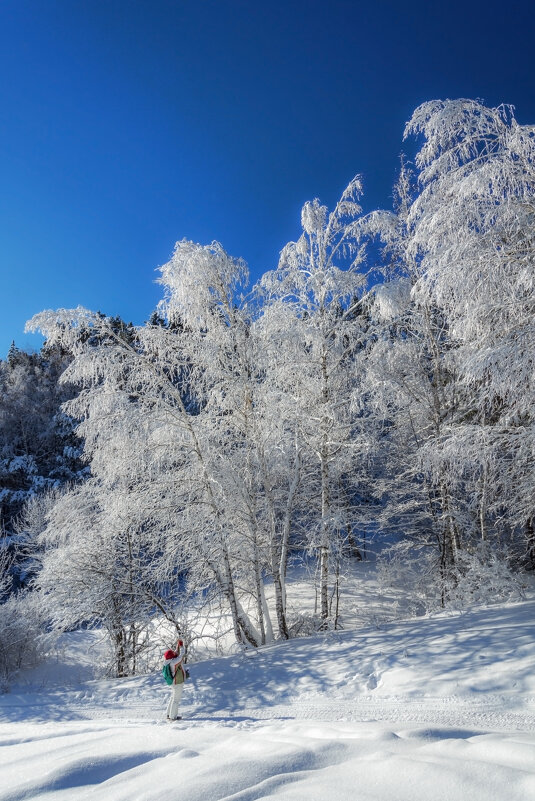 Сказочные березки - Наталья Димова