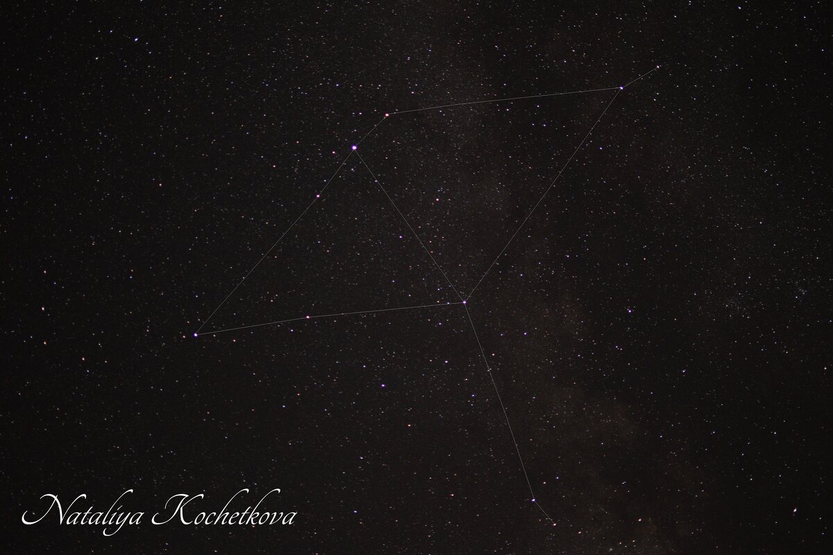 Природа Крыма - Amazing Cosmea