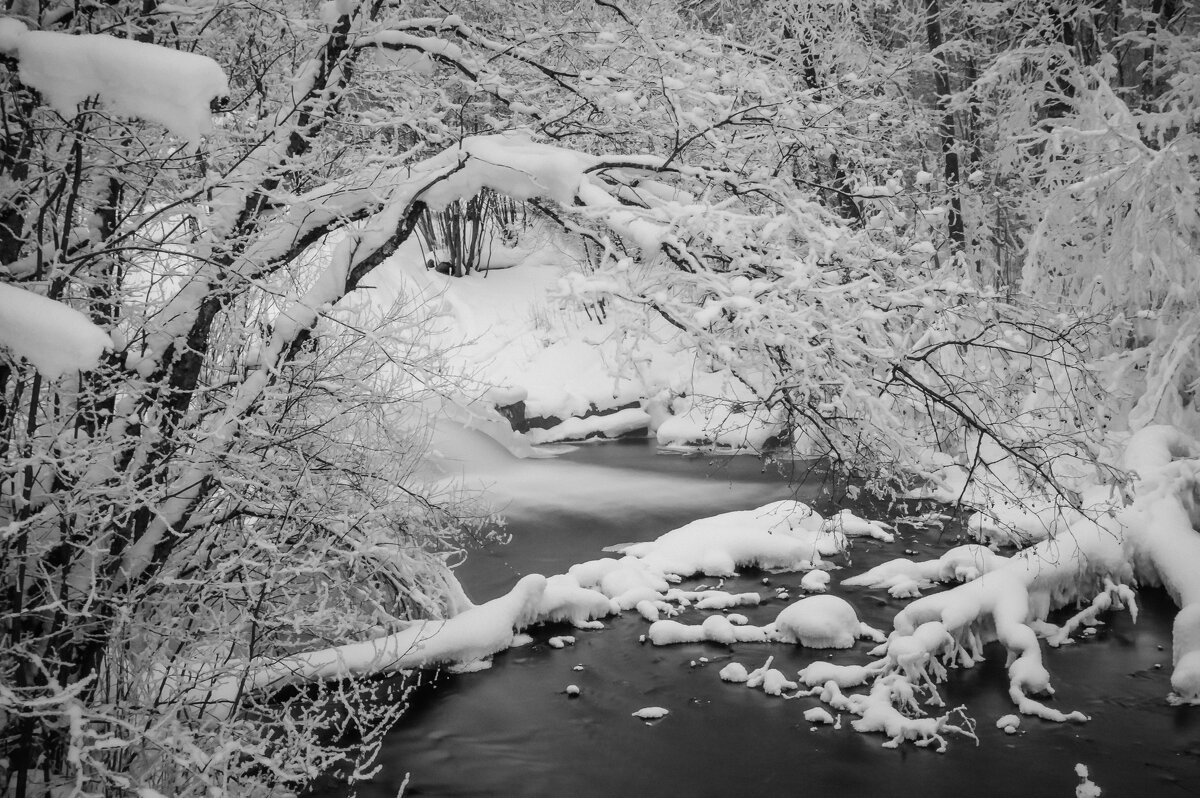 Зимнее настроение - Олег Загорулько