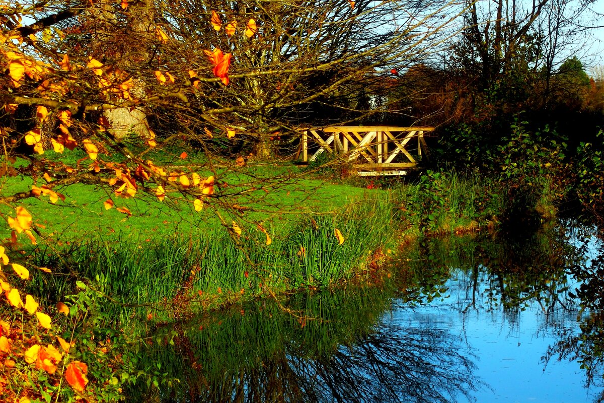 Осень - Юрий. Шмаков