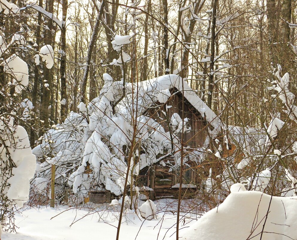 Старенькая избушка - Андрей Снегерёв