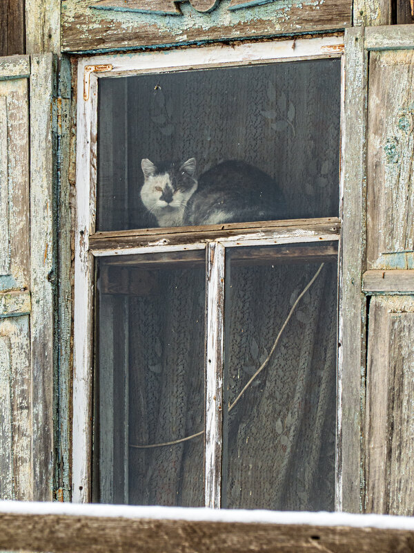 *** - Алексей Мезенцев