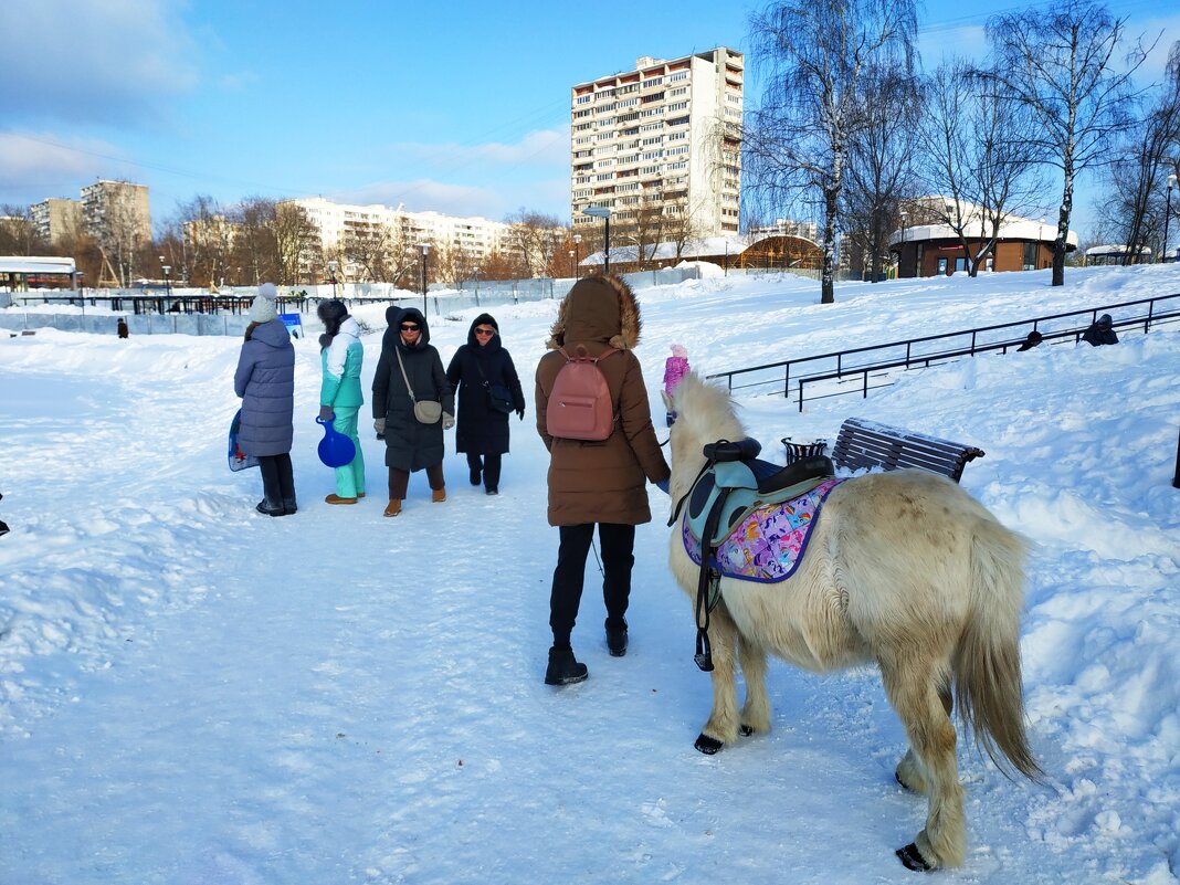 Февраль в Москве - Андрей Лукьянов