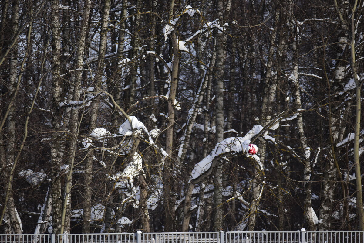 Гармонично. - Наталья Вязигина