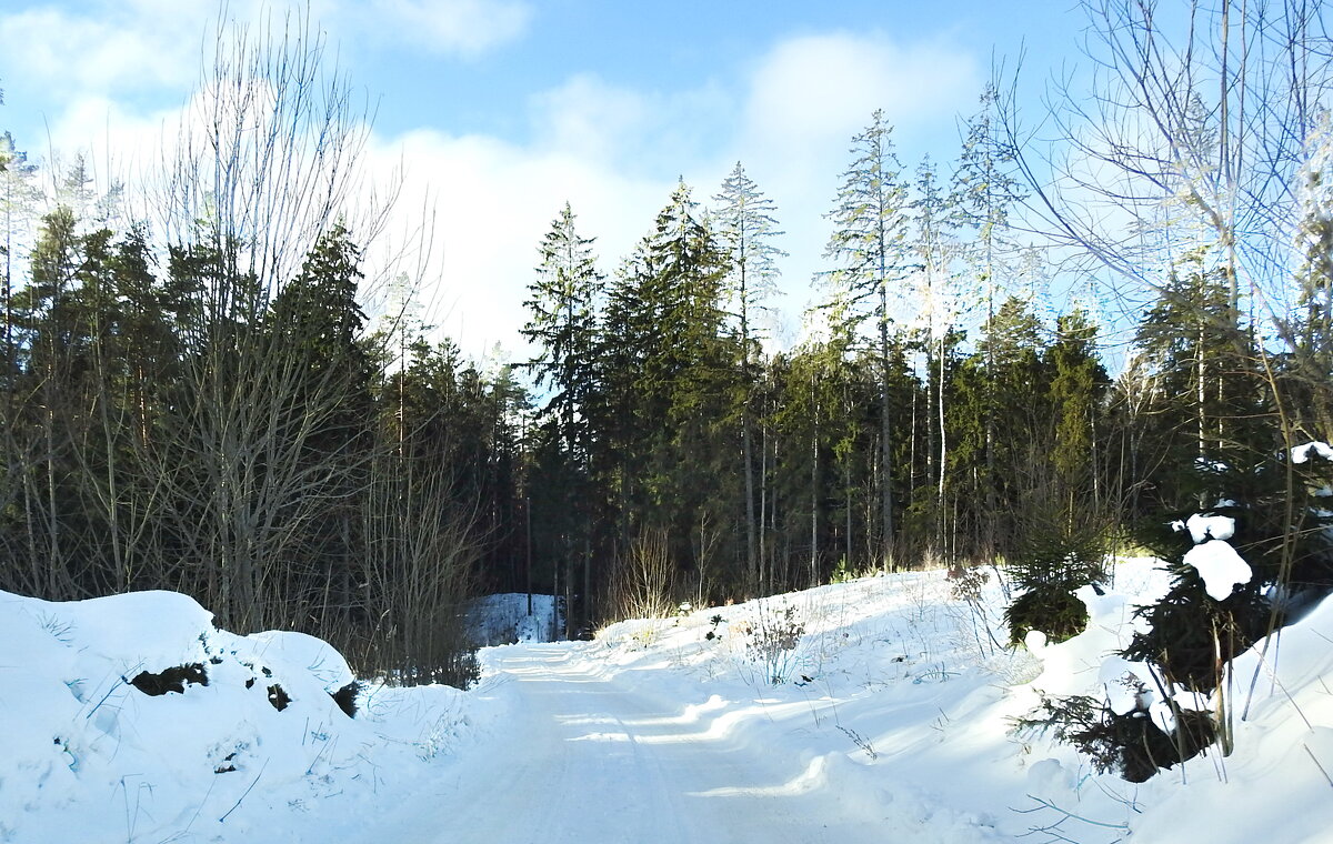 зимние пейзажи - ИННА ПОРОХОВА