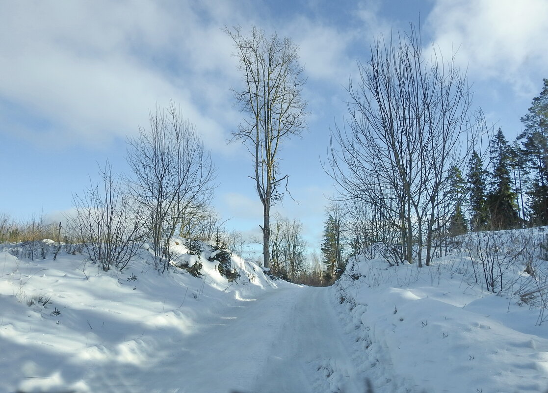 зимние пейзажи - ИННА ПОРОХОВА