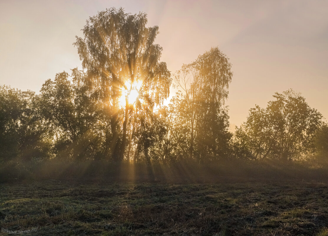 Лучи утреннего тумана - Николай Зиновьев
