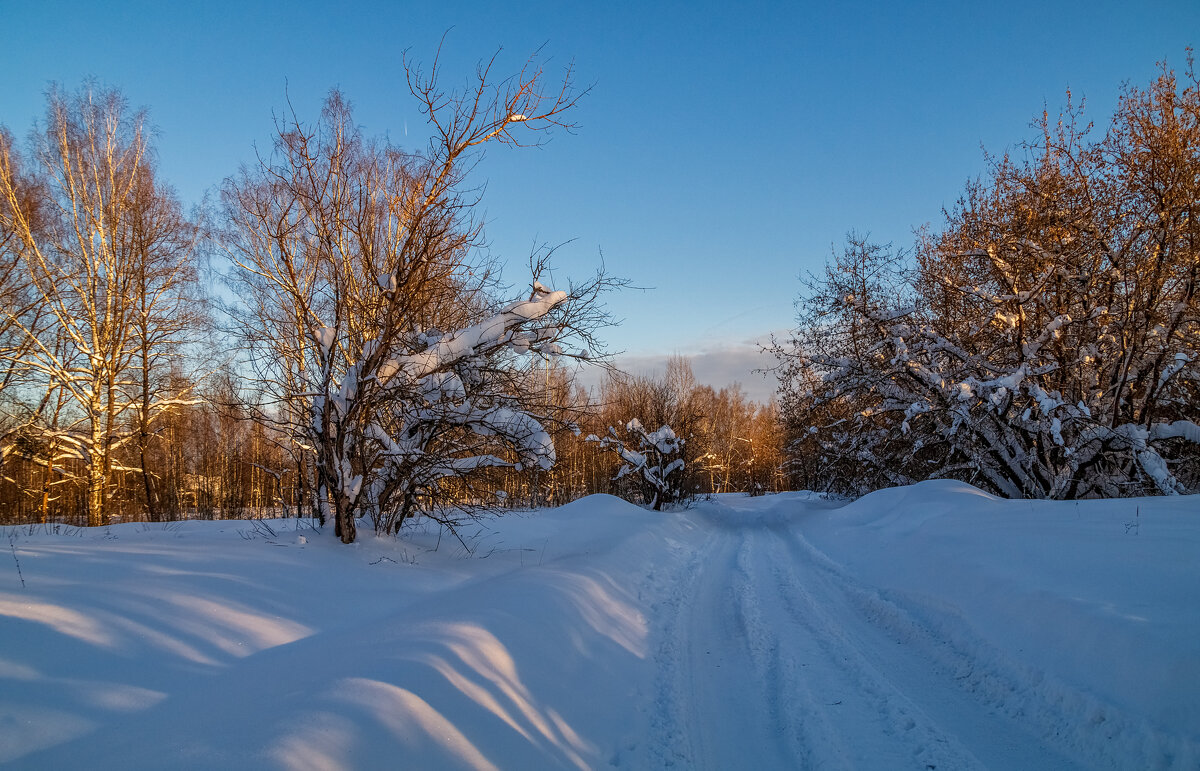 Январский вечер 9 - Андрей Дворников