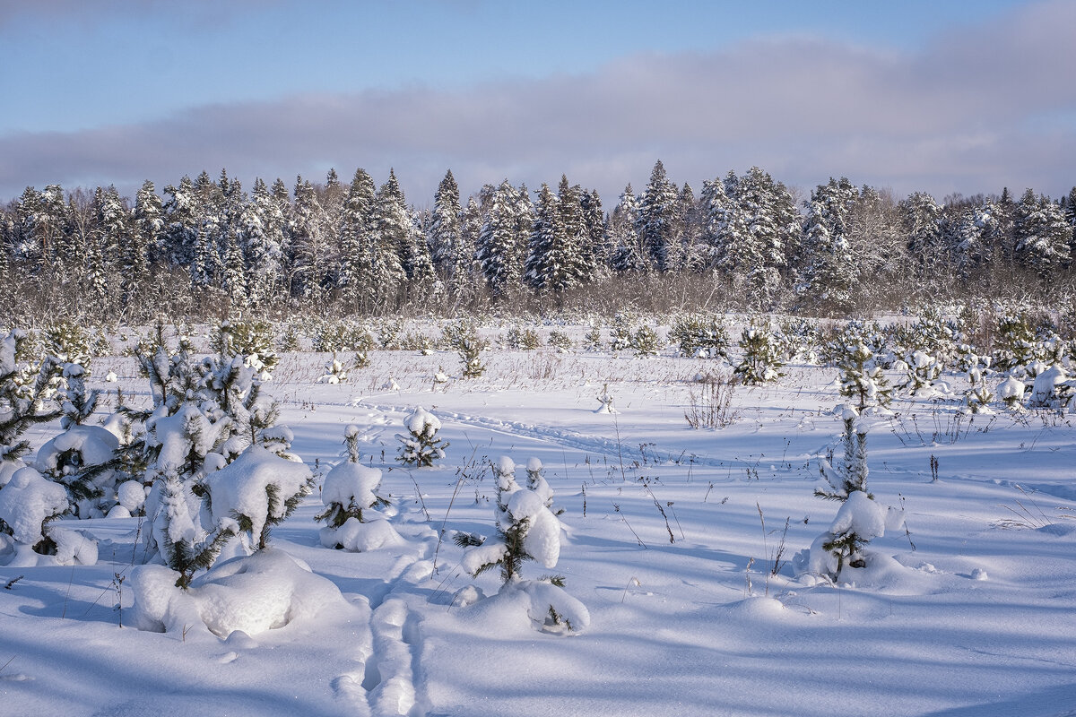 следы и следочки - Galina 