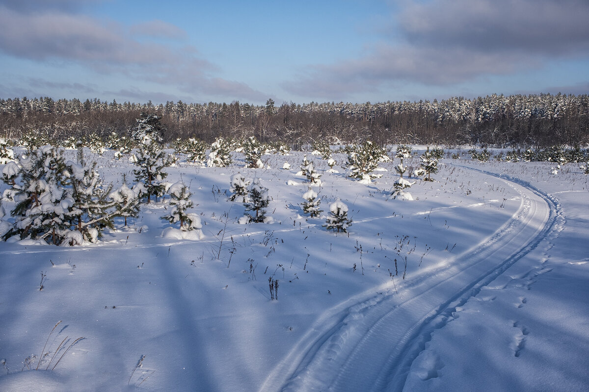 следы и следочки - Galina 