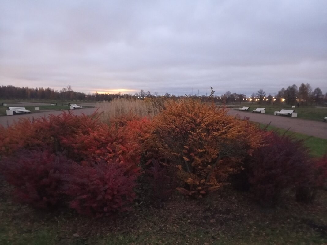 Осень - Сапсан 