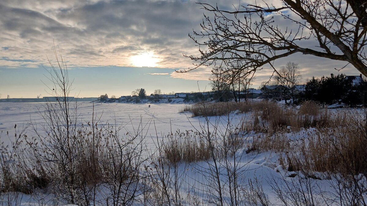 Трудно поверить, но это Нева - Наталья Герасимова