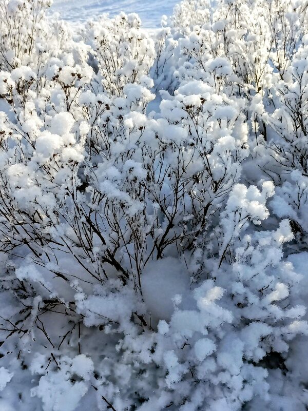 В парке Тондилоо - Veera V