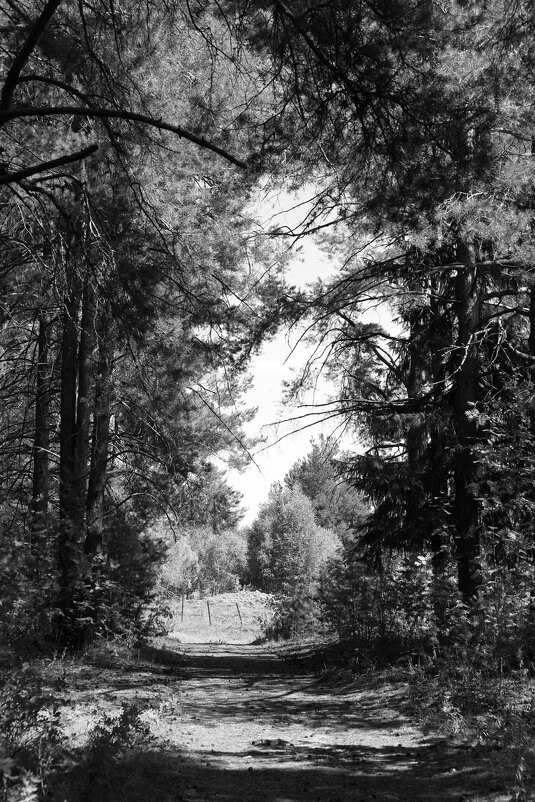 Фотография - Денис Безногов