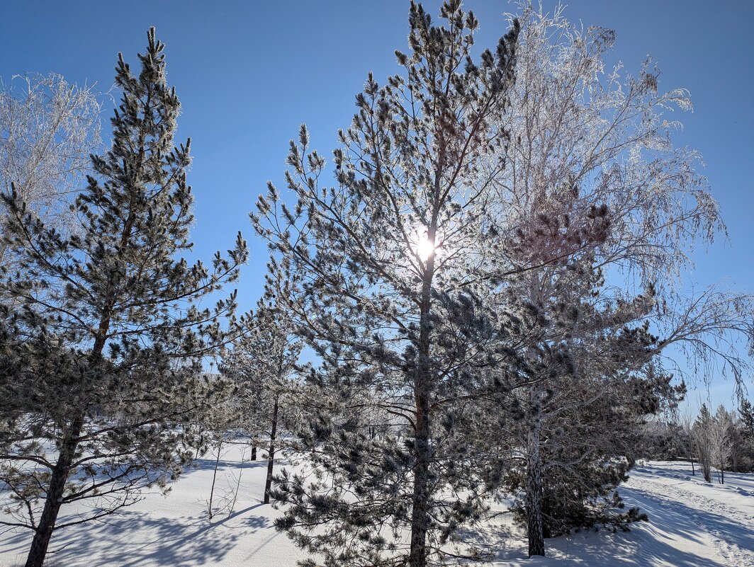 Солнышко - Андрей Хлопонин