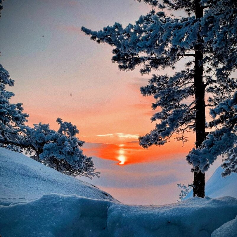 Тишина - Георгиевич 