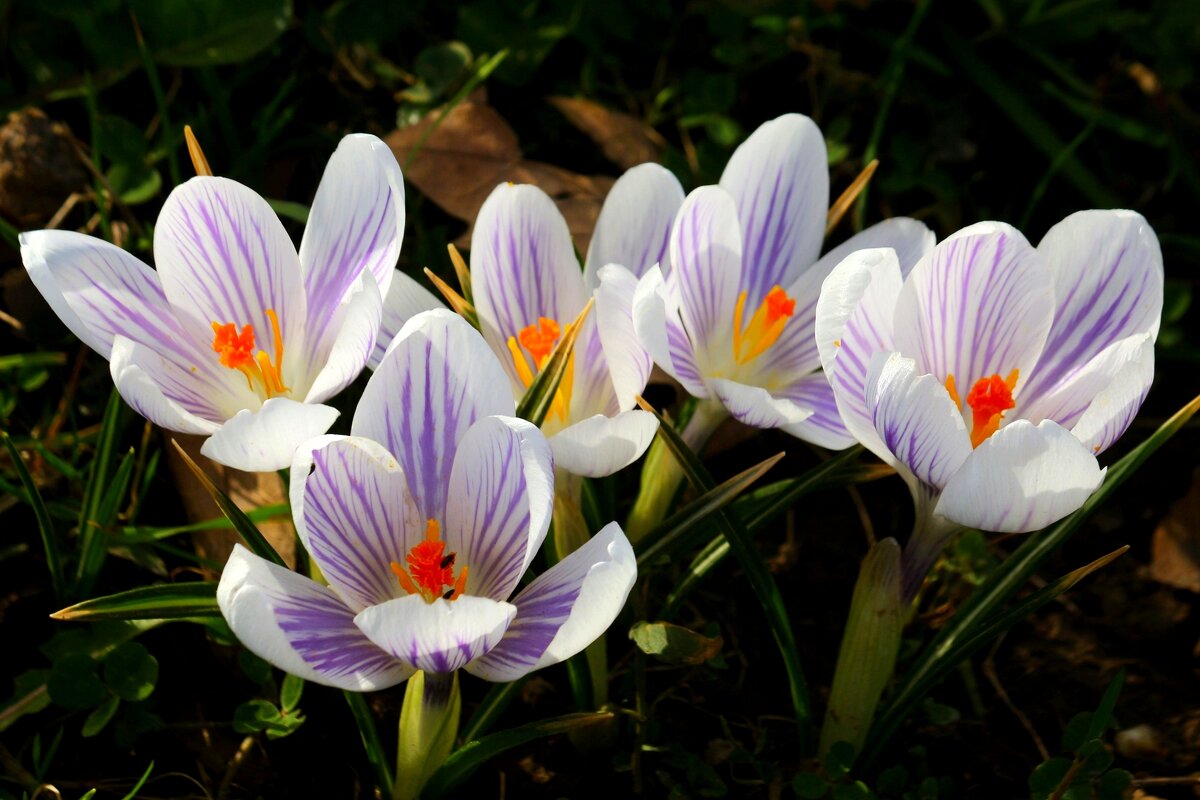 Доброе утро - Юрий. Шмаков Доброе утро - Юрий. Шмаков
