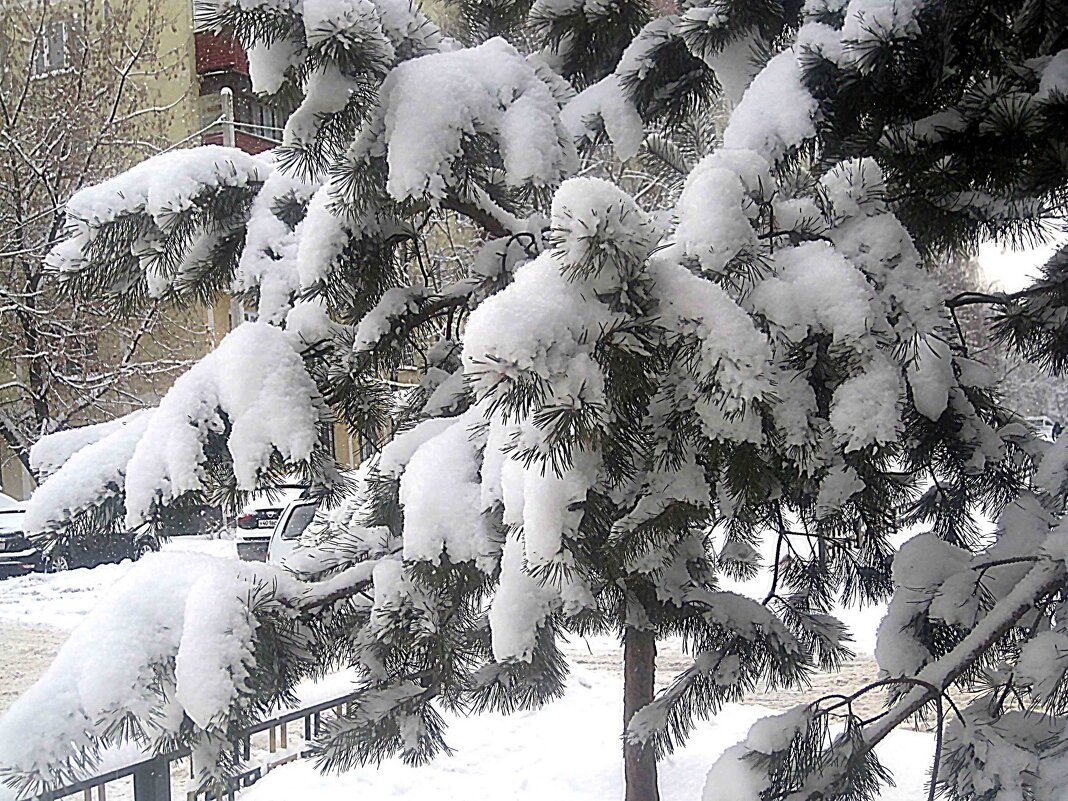 Зимнее - Елена Семигина