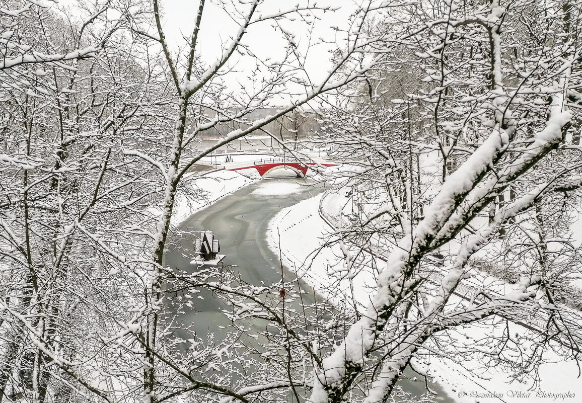 В зимнем парке - Виктор Позняков