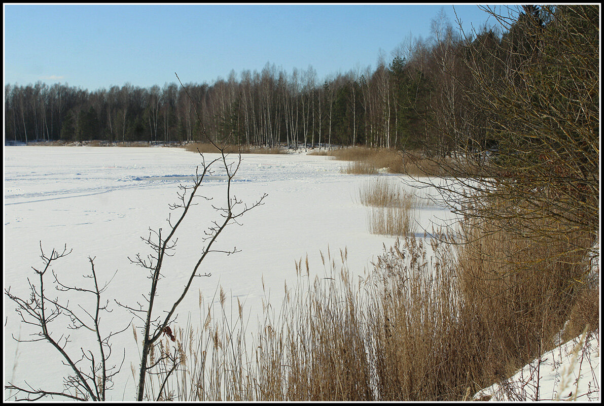 На озере - Aleksandr Gal