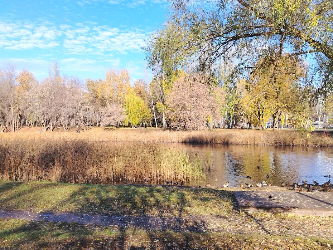 Озеро у дома - Надежда 
